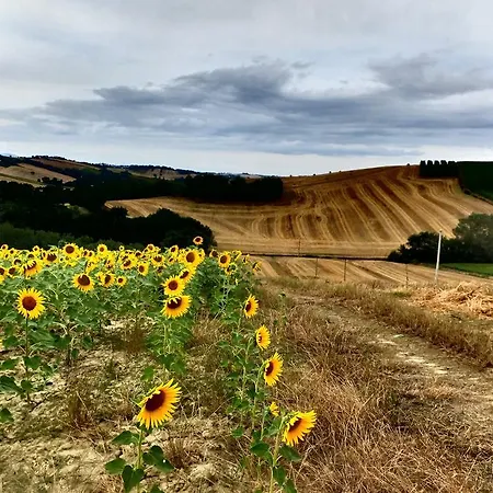 Piagge Del Sole Montecarotto